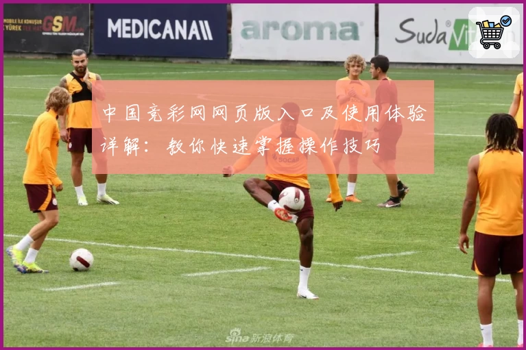 中国竞彩网网页版入口及使用体验详解：教你快速掌握操作技巧