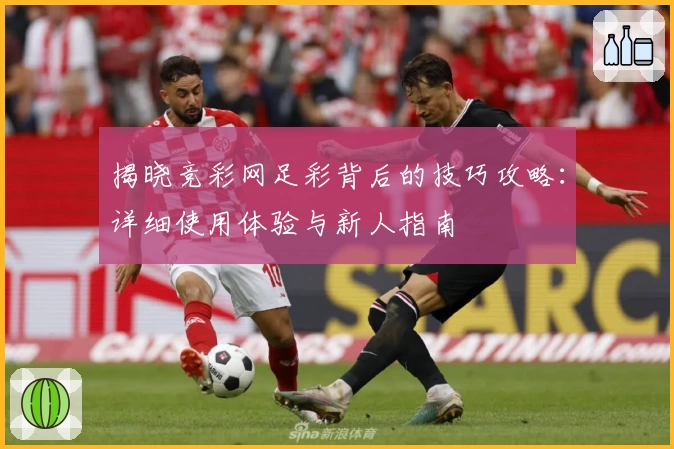 揭晓竞彩网足彩背后的技巧攻略：详细使用体验与新人指南